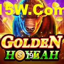 Tournaments 79M